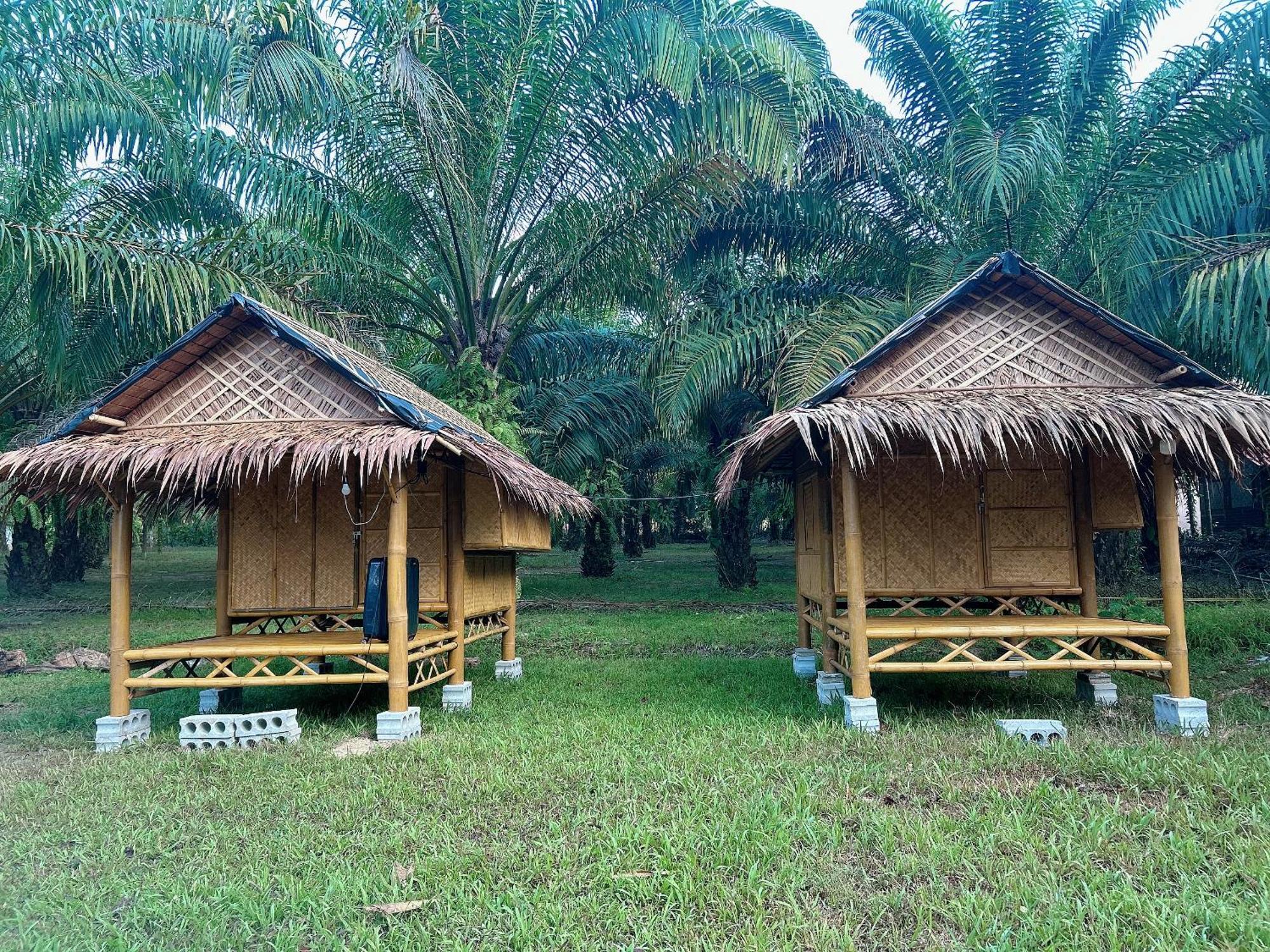 מלון Khao Sok National Park Khaosok August Freedom Camp מראה חיצוני תמונה