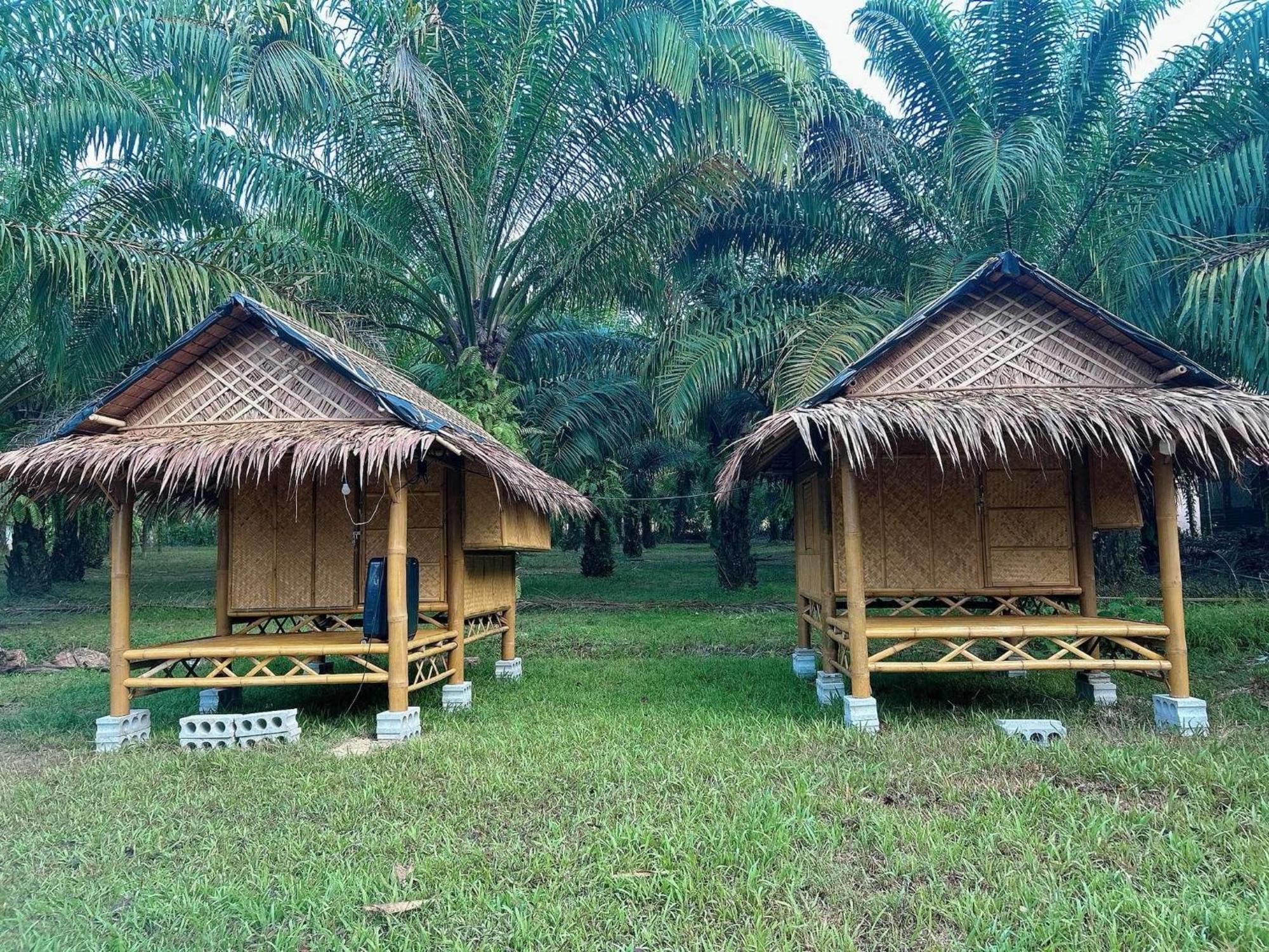 מלון Khao Sok National Park Khaosok August Freedom Camp מראה חיצוני תמונה