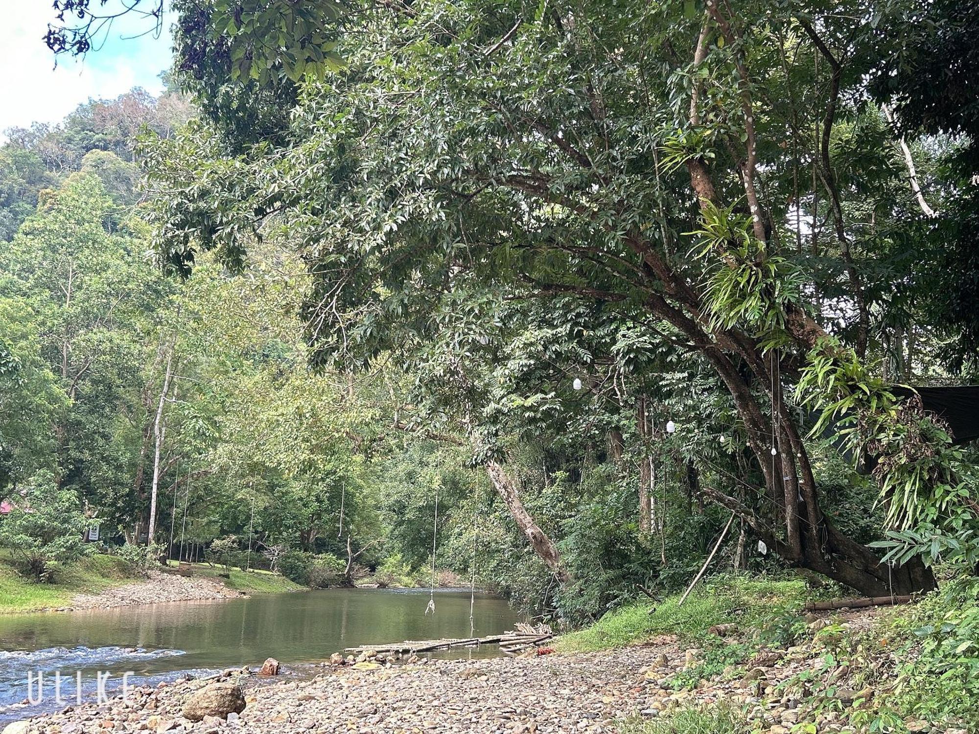 מלון Khao Sok National Park Khaosok August Freedom Camp מראה חיצוני תמונה