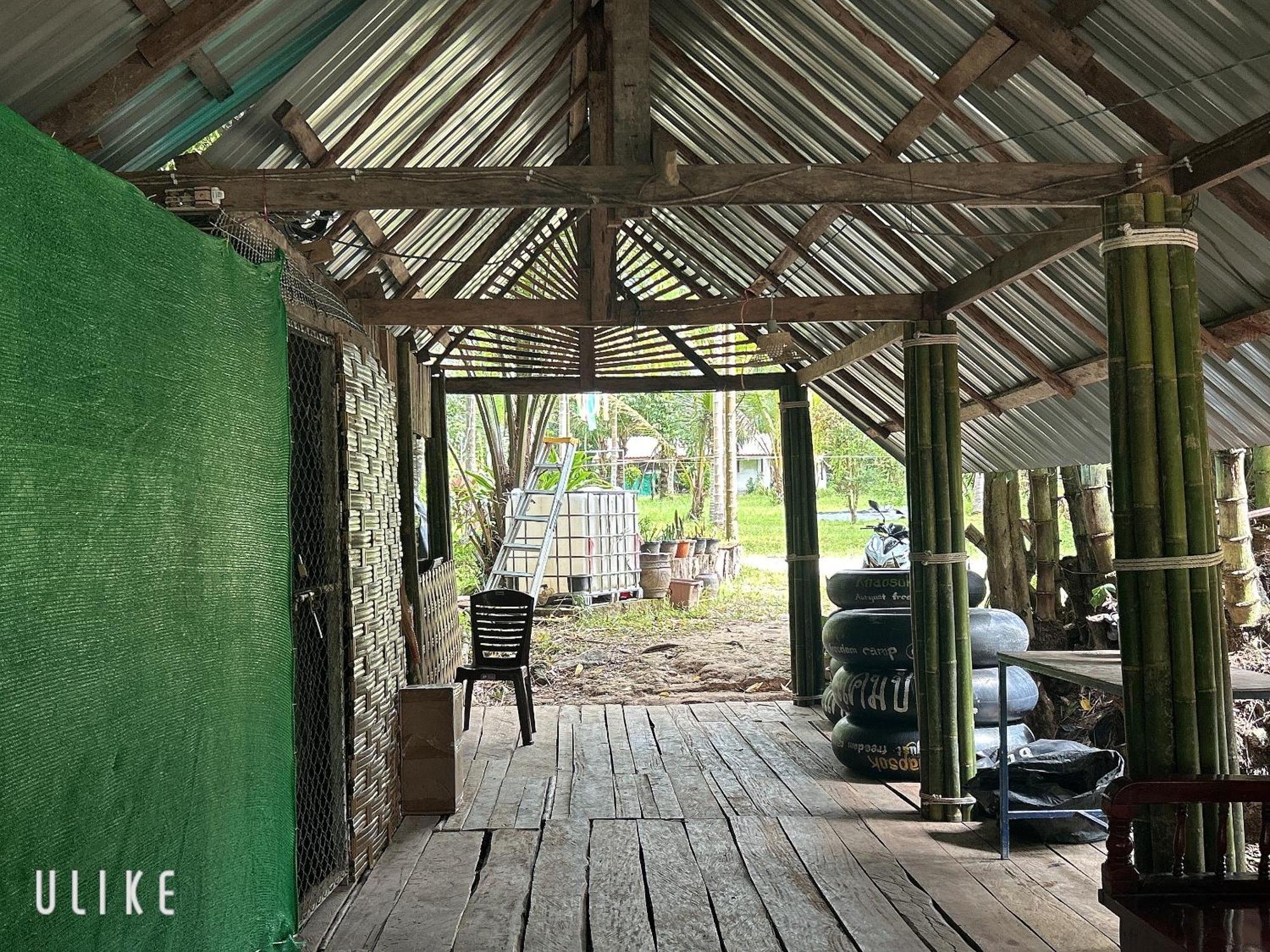 מלון Khao Sok National Park Khaosok August Freedom Camp מראה חיצוני תמונה